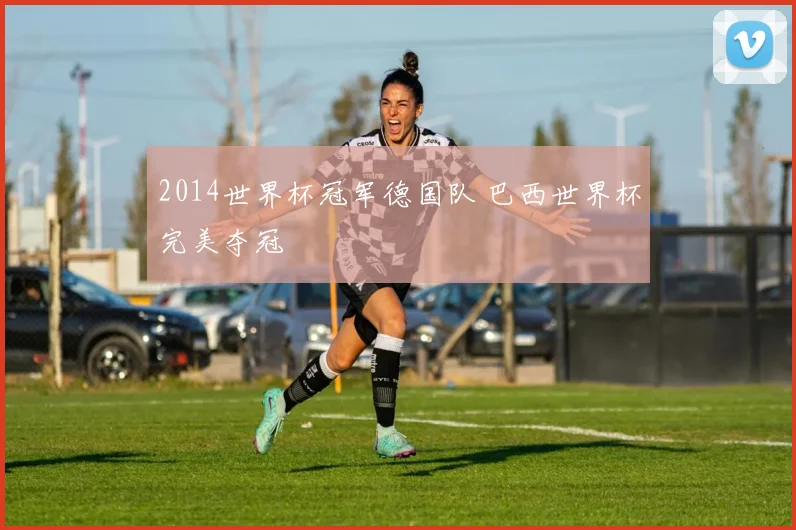 2014世界杯冠军德国队 巴西世界杯完美夺冠